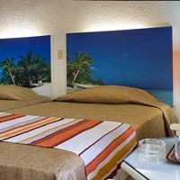 ნომრები preview