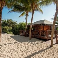 ბარი preview