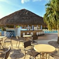 ბარი preview