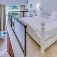 ნომრები preview