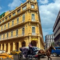 ყველა preview