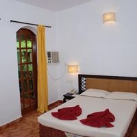 ნომრები preview