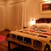 ნომრები preview