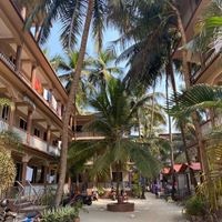 ყველა preview