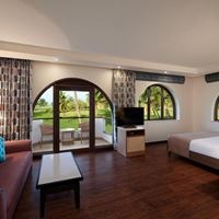 ნომრები preview