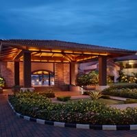 ყველა preview