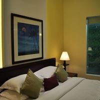 ნომრები preview