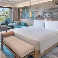 ნომრები preview