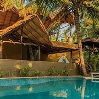 ყველა preview