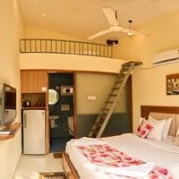 ნომრები preview