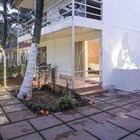 ყველა preview