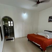 ნომრები preview