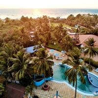 ყველა preview