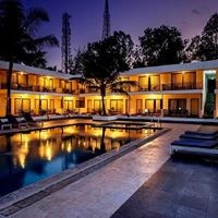 ყველა preview