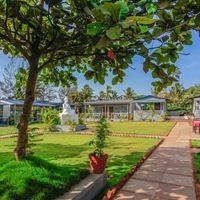 ყველა preview