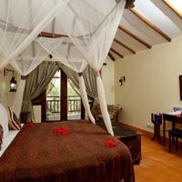 ნომრები preview