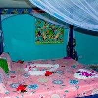 ნომრები preview