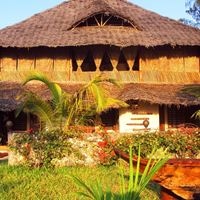 ყველა preview