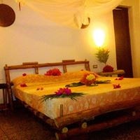 ნომრები preview