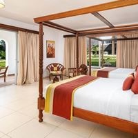 ნომრები preview