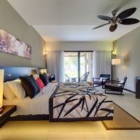 ნომრები preview