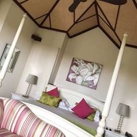 ნომრები preview