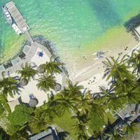 ყველა preview