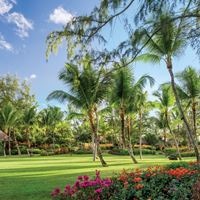 ყველა preview