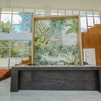 ბარი preview