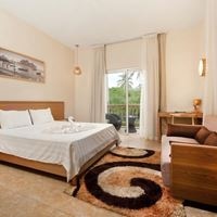 ნომრები preview