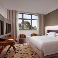 ნომრები preview