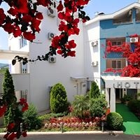 ყველა preview