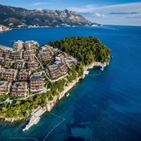 ყველა preview