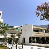 ყველა preview