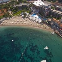 ყველა preview