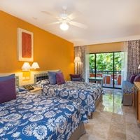 ნომრები preview