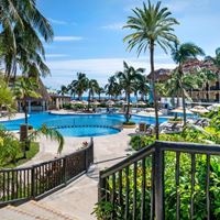 ყველა preview