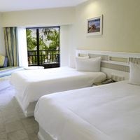 ნომრები preview