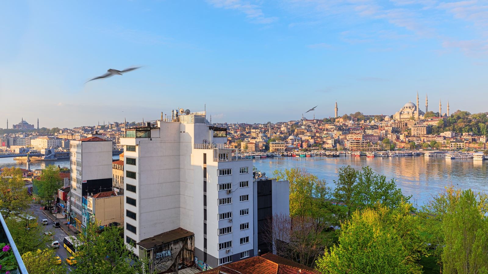 restaurants-restaurants