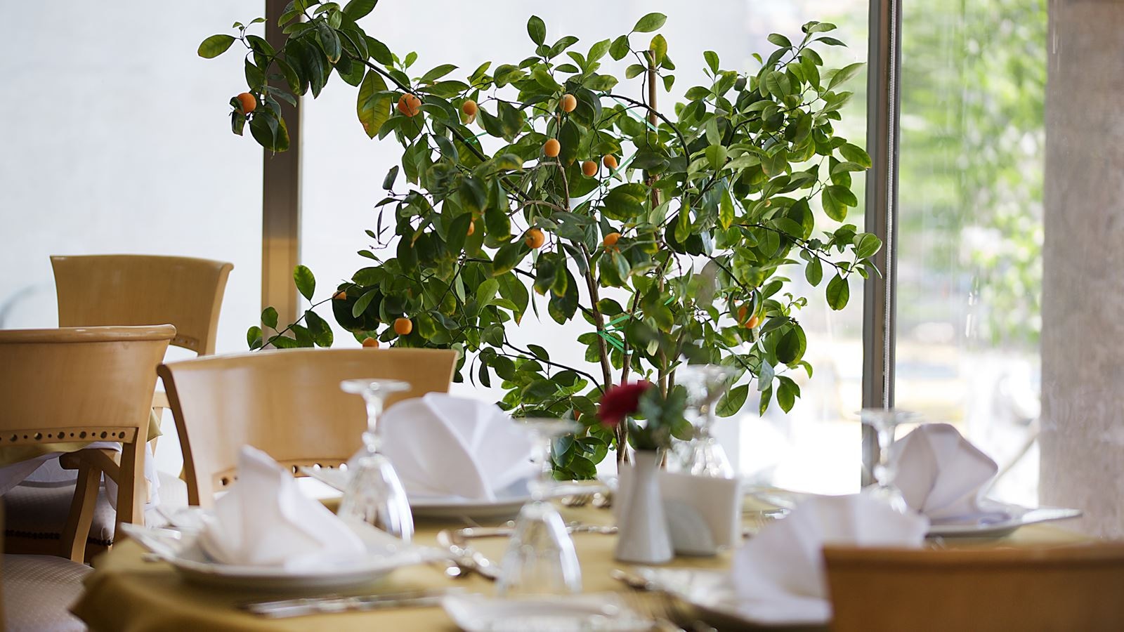 restaurants-restaurants