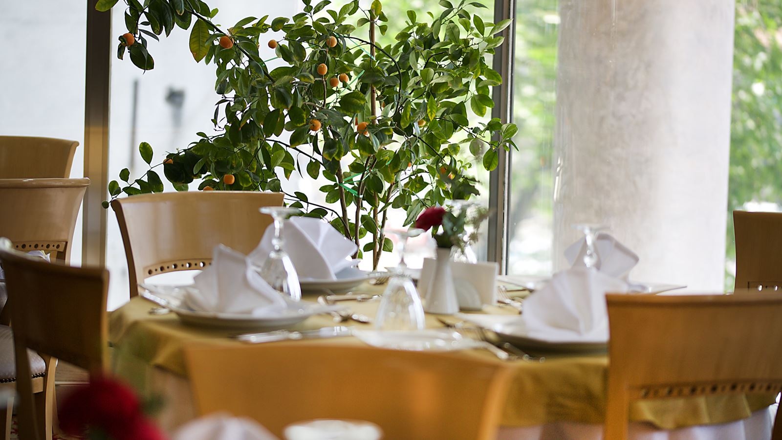 restaurants-restaurants