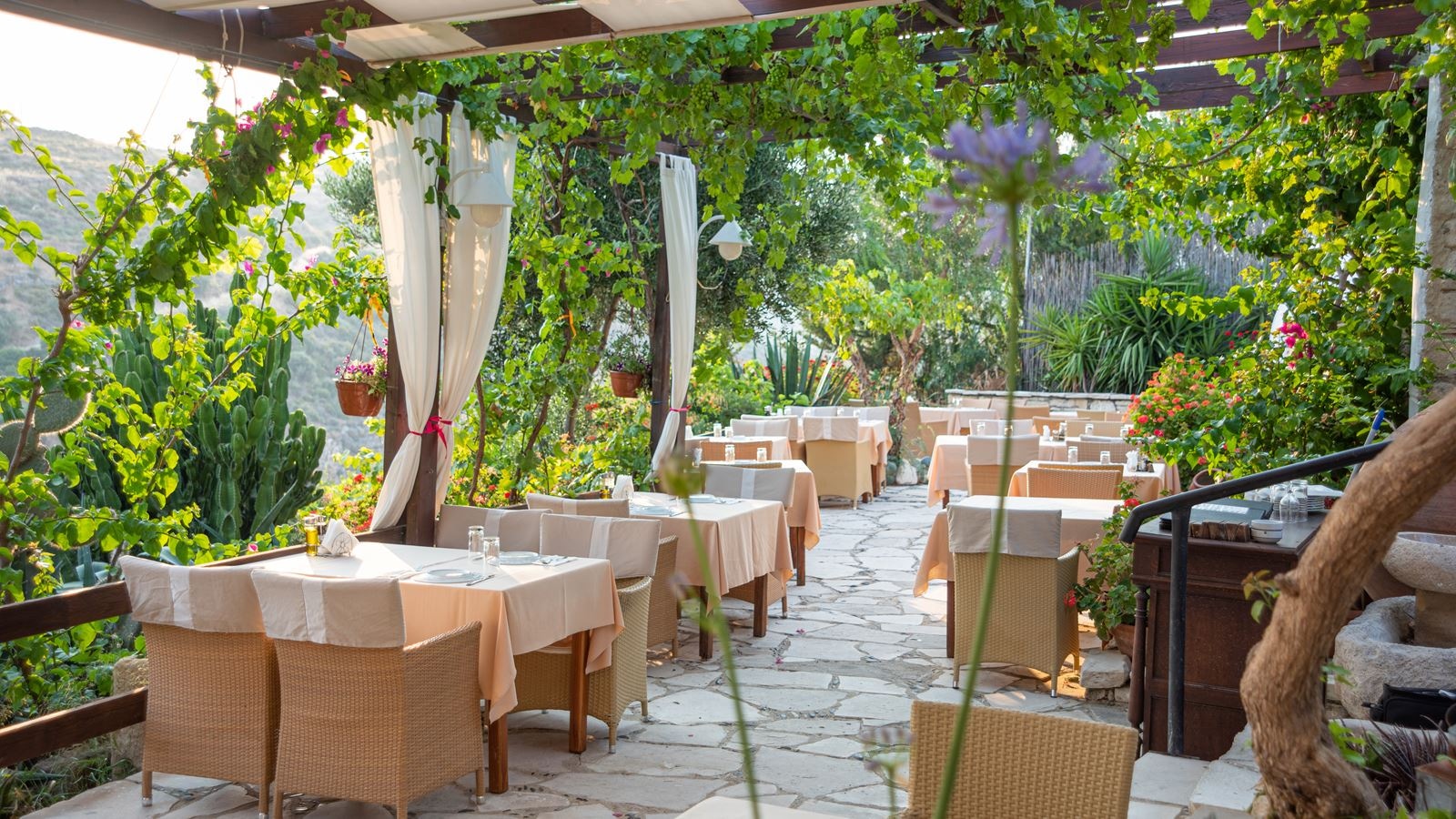 restaurants-restaurants