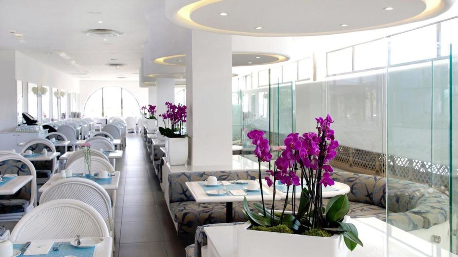 restaurants-restaurants