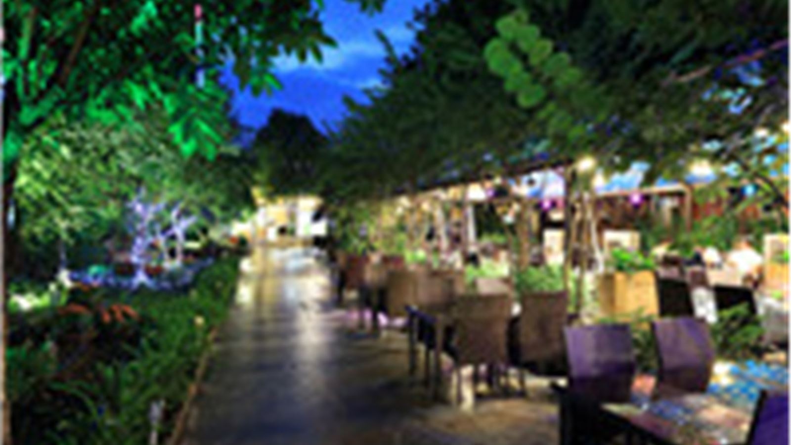 restaurants-restaurants