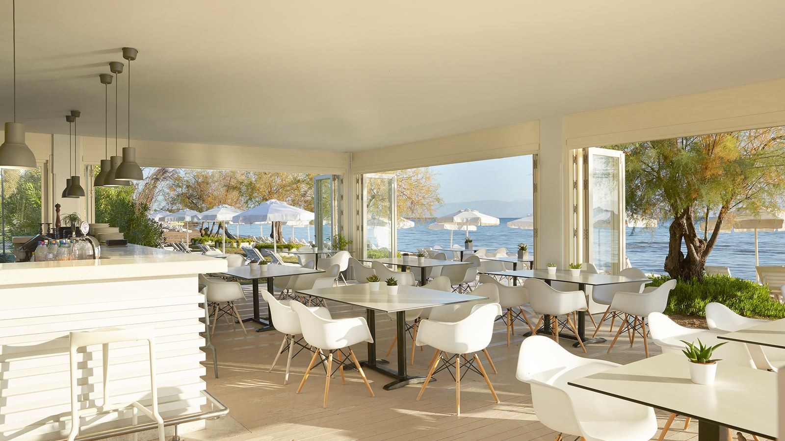 restaurants-il-pirata-a-la-carte-restaurant