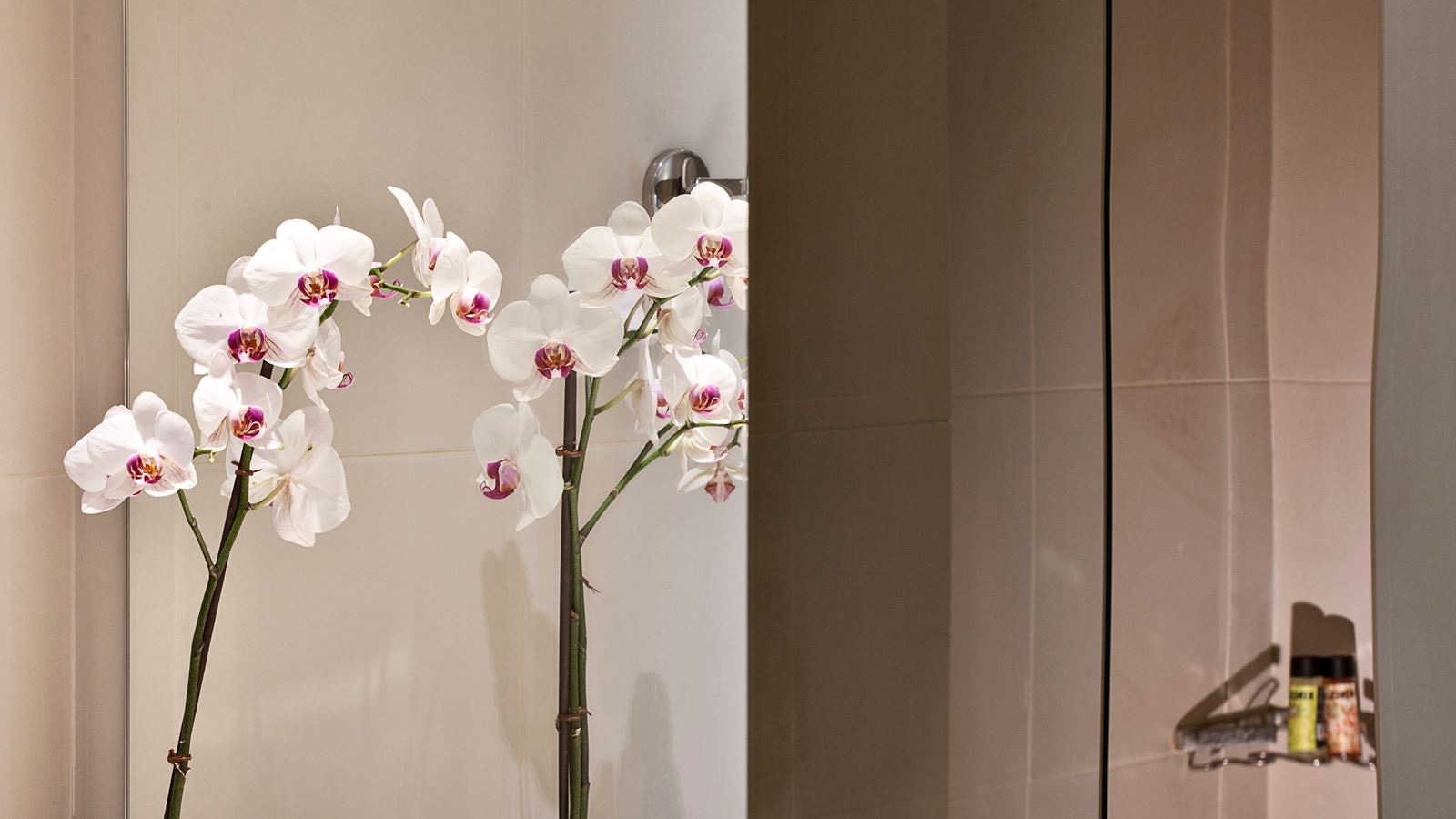 rooms-room-luxury-sea-view