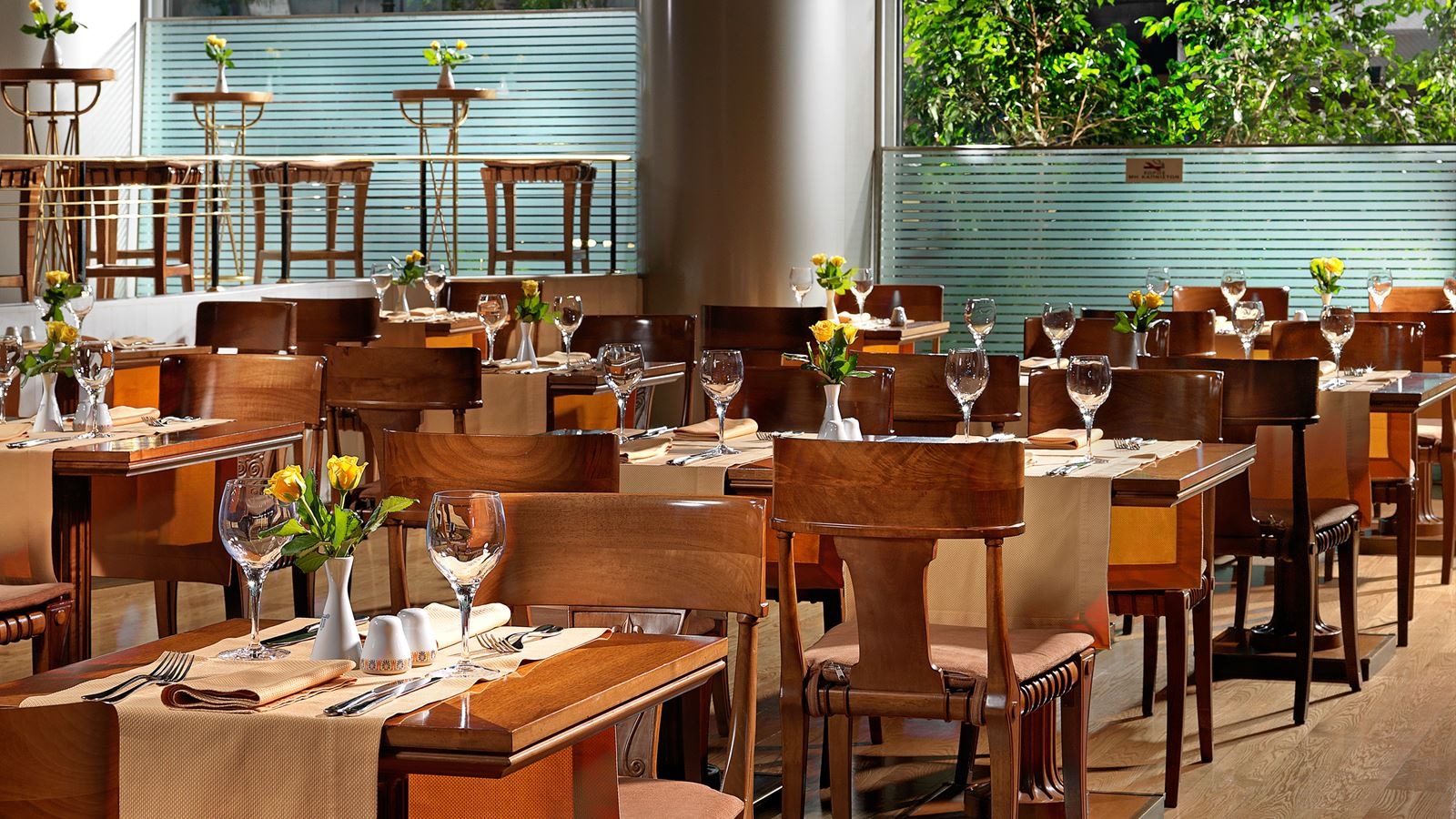 restaurants-restaurants