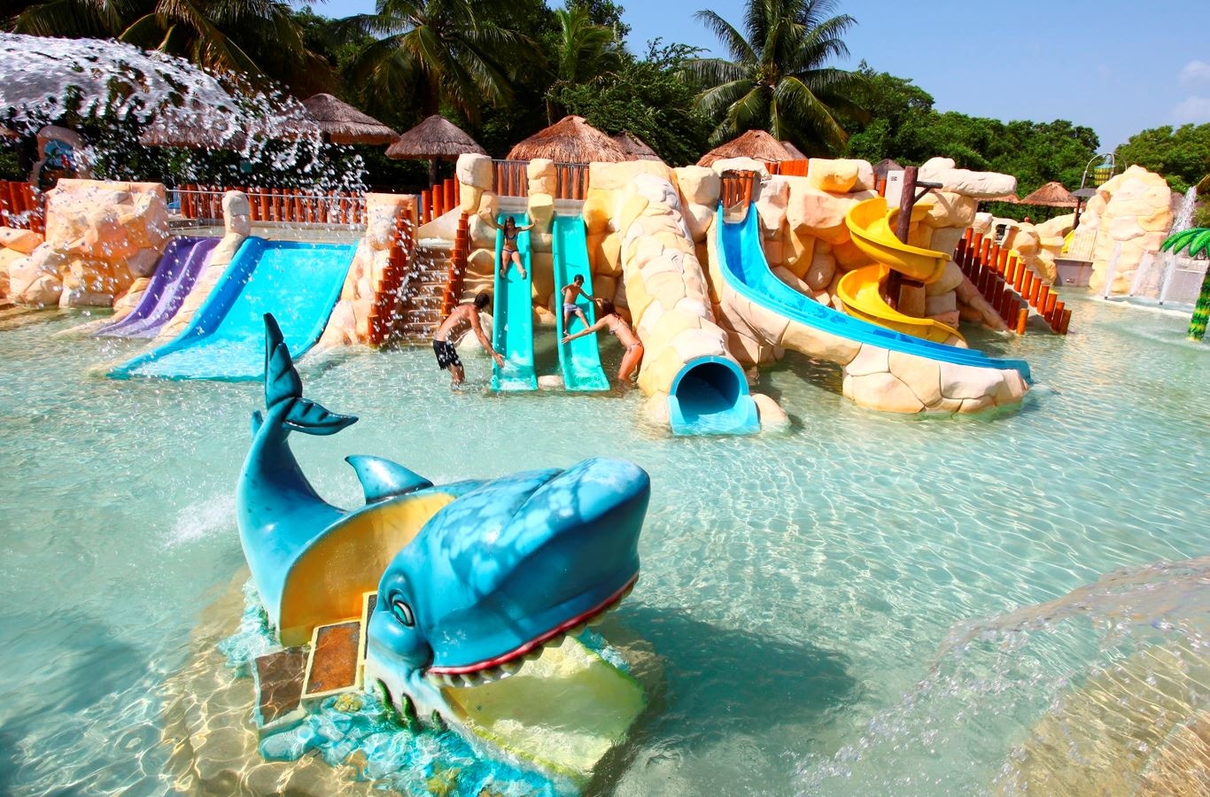 water-park-water-park