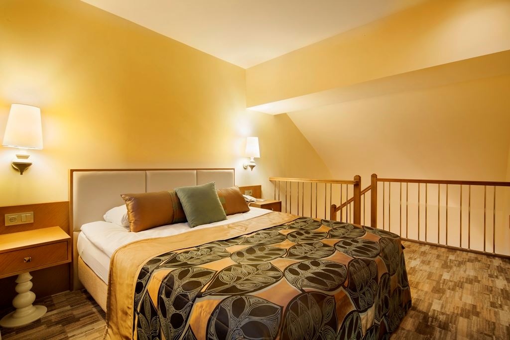 rooms-roof-dublex-room