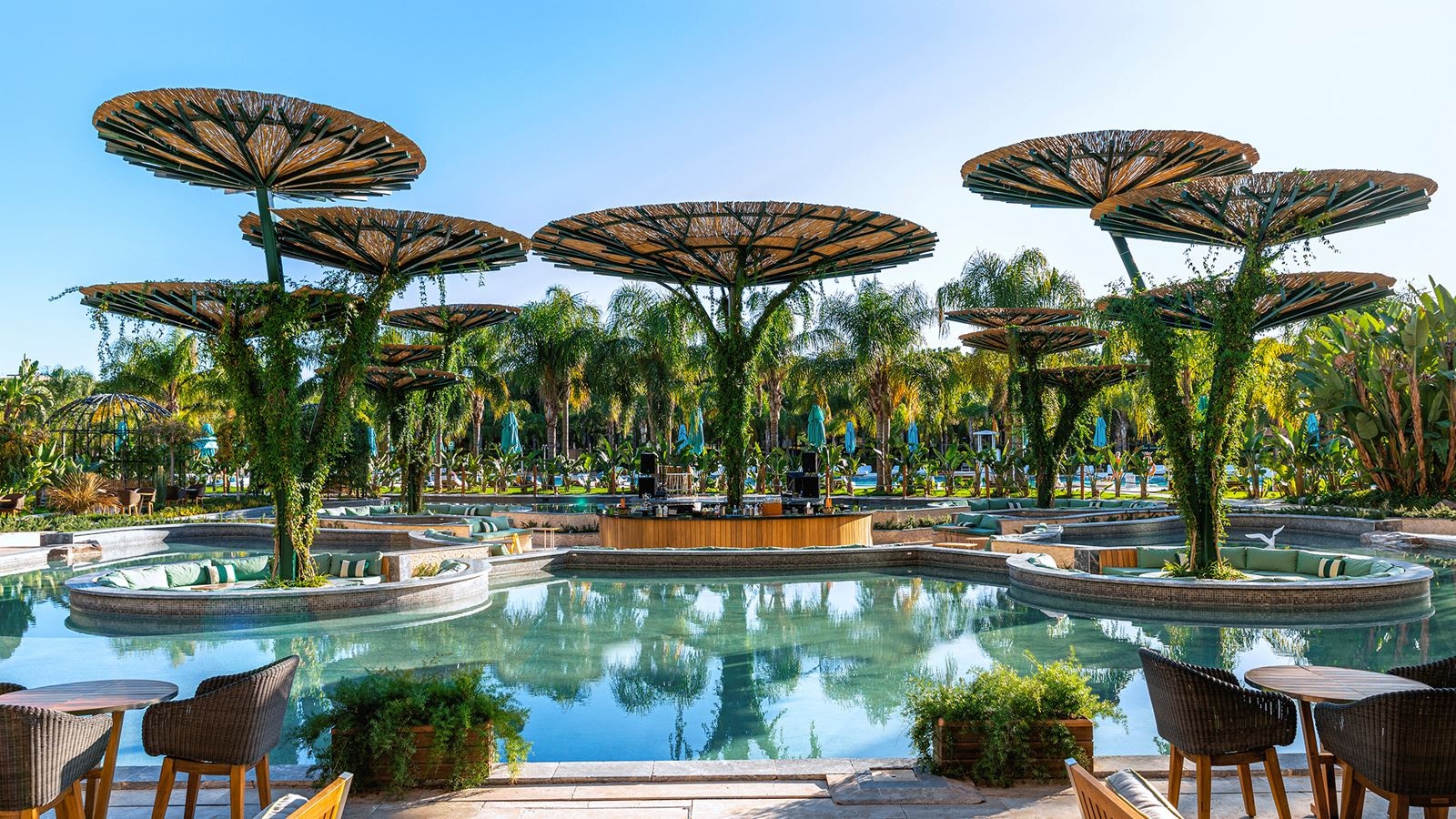 bars-the-shramrock-irish-bar